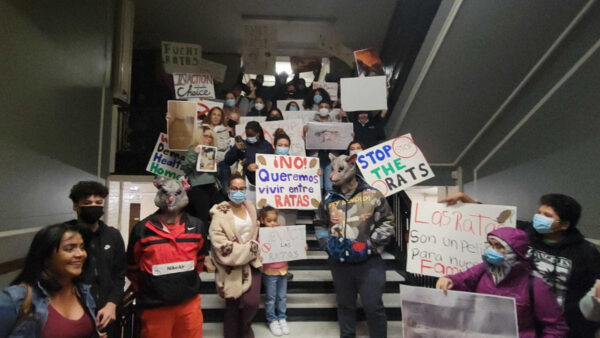 a group of people holding signs saying "stop the rats!"